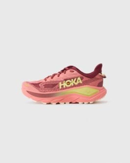 CHALLENGER 8 - Chaussures de running - blush/dark cedar