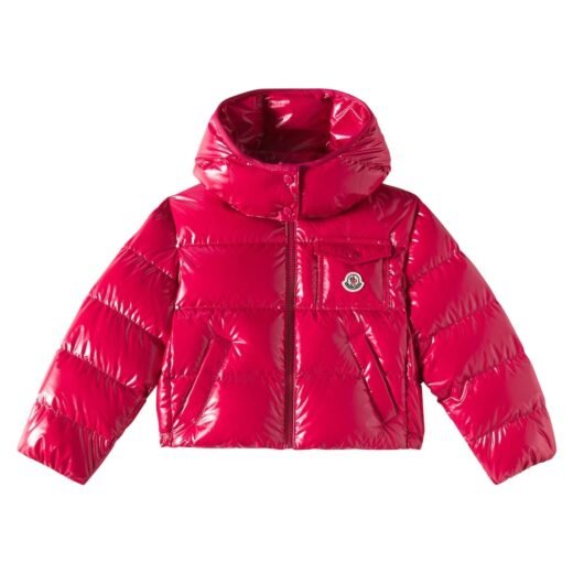 Moncler Veste doudoune Andro