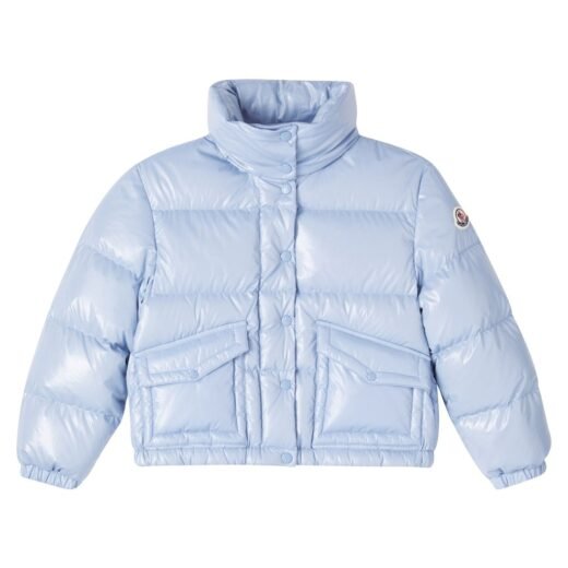 Moncler Veste doudoune Puvert