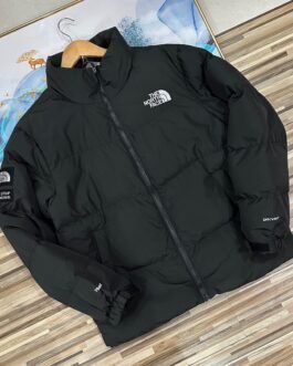 Veste doudoune North Face chaude et légère pour l'hiver