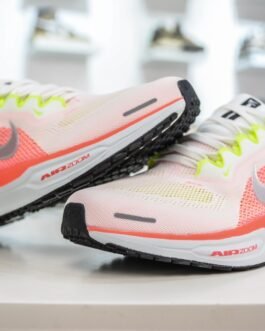 Chaussures Nike Zoom Pegasus - Confort, Performance et Style Sportif