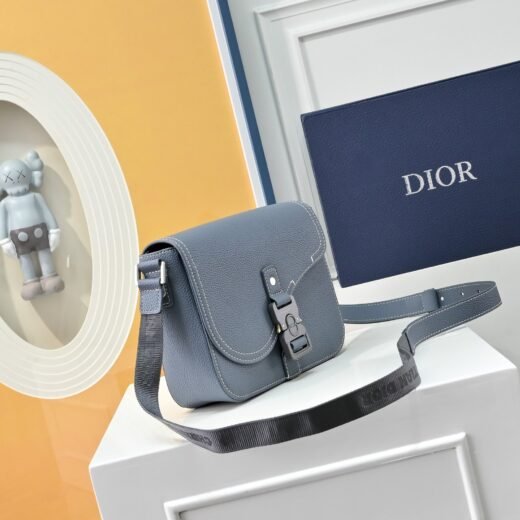 Dior Saddle – Gris