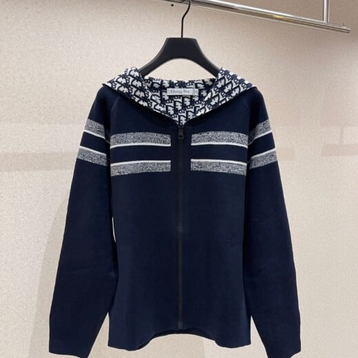 Dior Oblique sweat à capuche contrasté